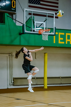 volleyball-8408