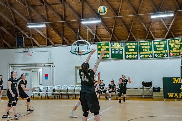 volleyball-8379