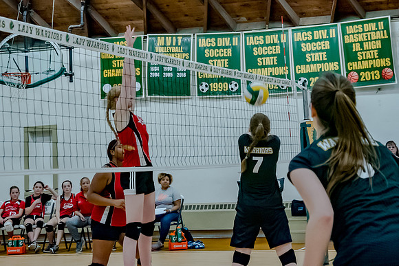 volleyball-8305