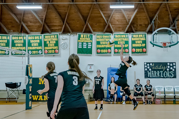 volleyball-8291