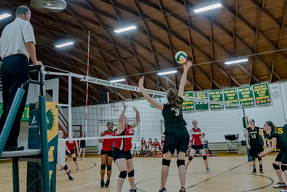 volleyball-8298