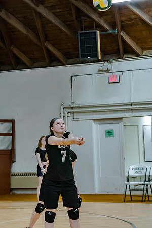 volleyball-8378