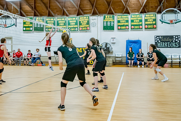 volleyball-8245