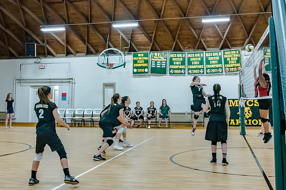 volleyball-8350