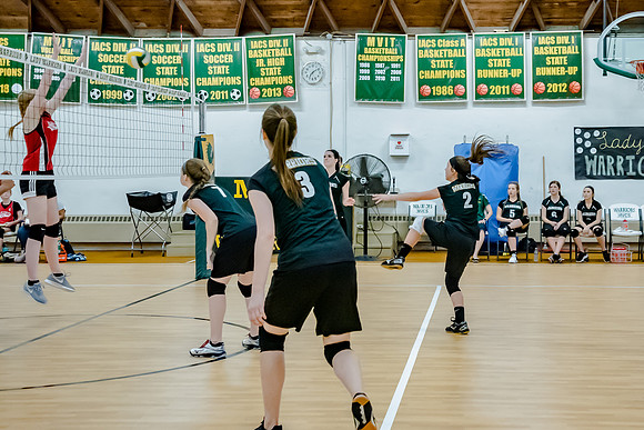 volleyball-8339