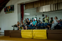 volleyball-8118