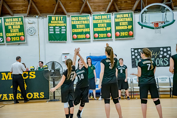 volleyball-8214