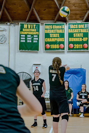 volleyball-8310