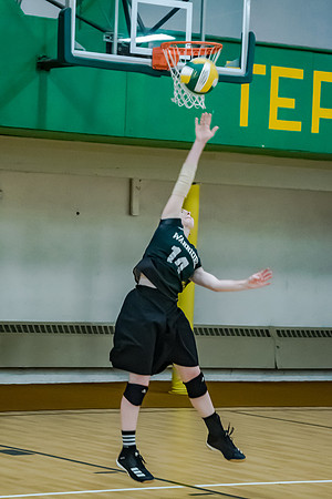volleyball-8393