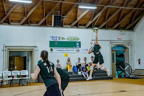 volleyball-8225