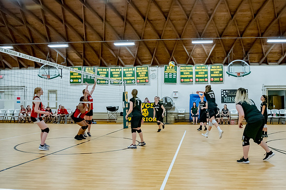 volleyball-8252